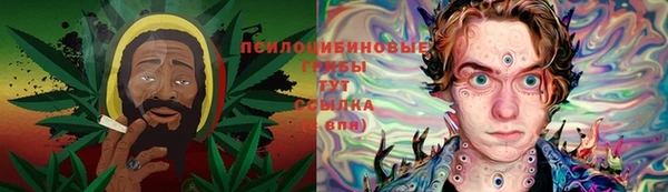спайс Касимов