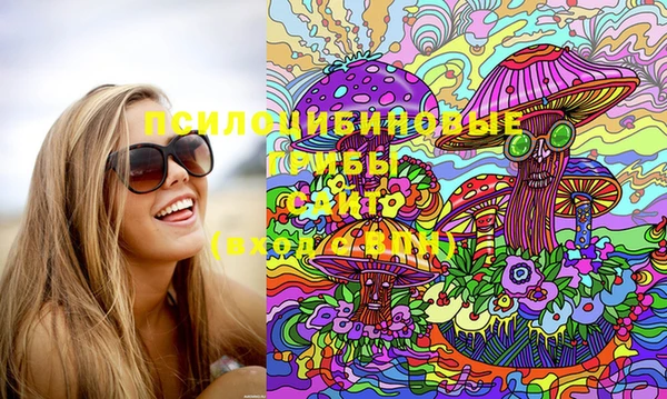 PSILOCYBIN Карталы