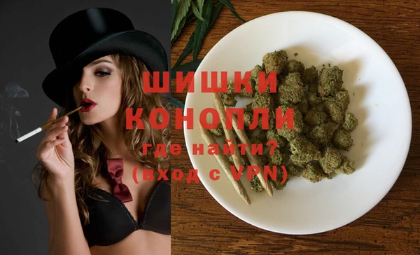 PSILOCYBIN Карталы