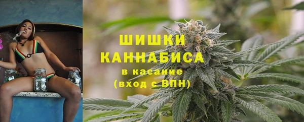 PSILOCYBIN Карталы