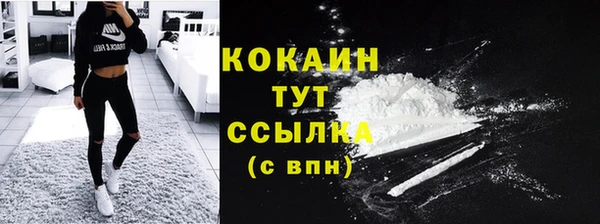 спайс Касимов