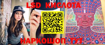 MDMA Гай