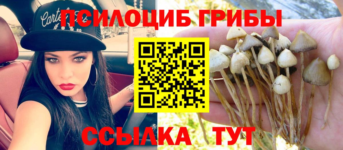 как найти закладки  Вход с VPN  Старая Купавна  Псилоцибиновые грибы мухоморы 